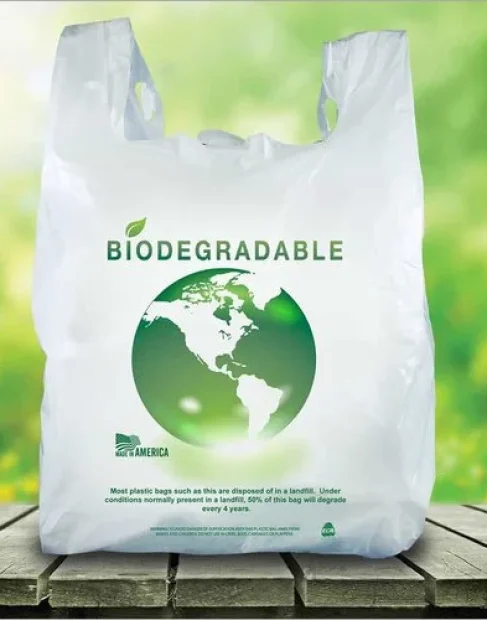 biodegradable-plastic-bag-500x500